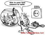 funny-picture-5117