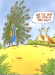 funny-picture-3033