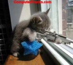 funny-picture-4858