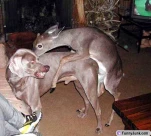 funny-picture-3830