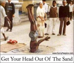 funny-picture-4018