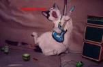 funny-picture-2828