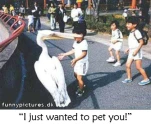funny-picture-95