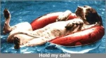 funny-picture-1113