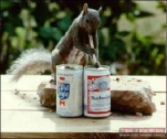 funny-picture-3393