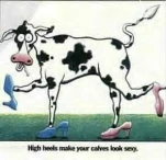 funny-picture-2031