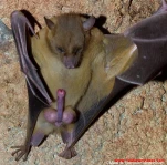 funny-picture-190