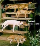 funny-picture-3841