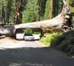 funny-picture-4638