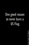 funny-picture-3747