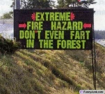 funny-picture-2916