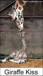funny-picture-421