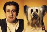 funny-picture-2209