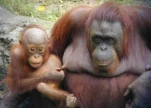 funny-picture-5171