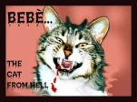 funny-picture-271