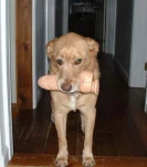 funny-picture-2337