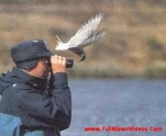funny-picture-44