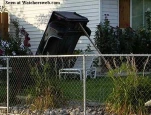 funny-picture-4880