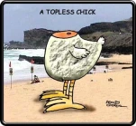 funny-picture-878