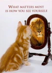 funny-picture-3425