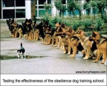 funny-picture-2361