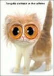 funny-picture-3191
