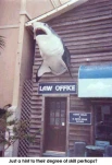 typicallawyerdk5
