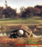 funny-picture-4653