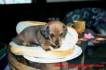 funny-picture-2110