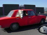 funny-picture-385