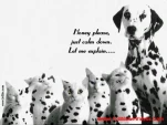 funny-picture-3637