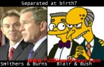 funny-picture-2560