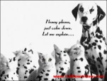 funny-picture-4303