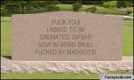 funny-picture-6752