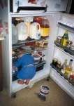 fridgekid
