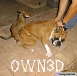 funny-picture-5750