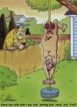 funny-picture-6401