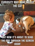 70843842 2865445736818143 7361568044058935296 n
