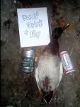 drinkandfly