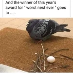 104804223 10223191661568407 2069452993129064944 n