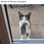 138796877 1276885462666838 8477173959337847287 n