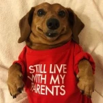 118105635 2631822613697078 2401488488022483298 n