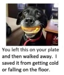 292765990 1723143234708321 5929976874948672369 n